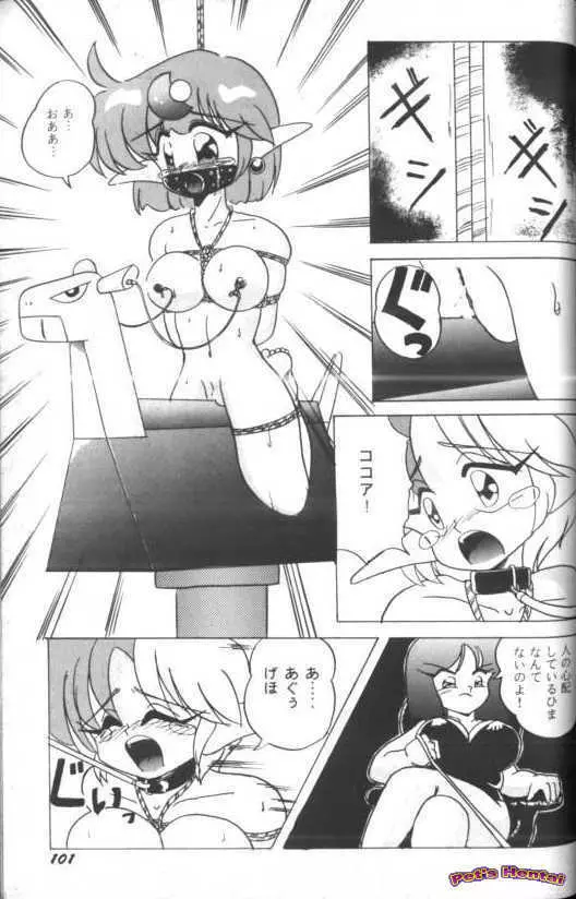 アニパロ美姫7 Page.102