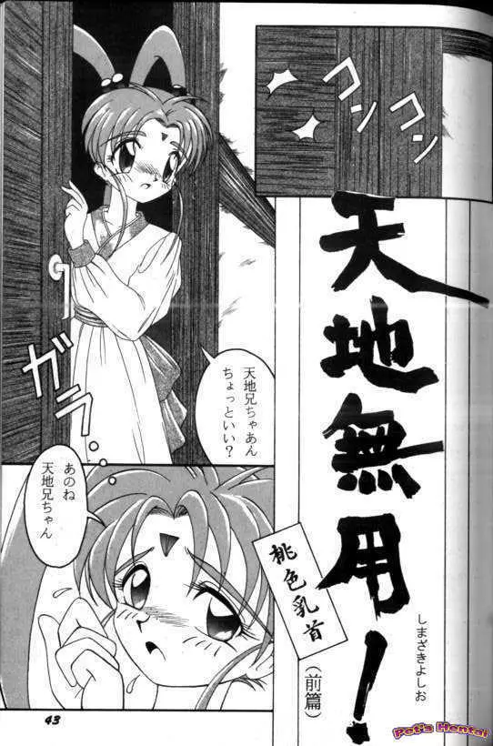 アニパロ美姫7 Page.44