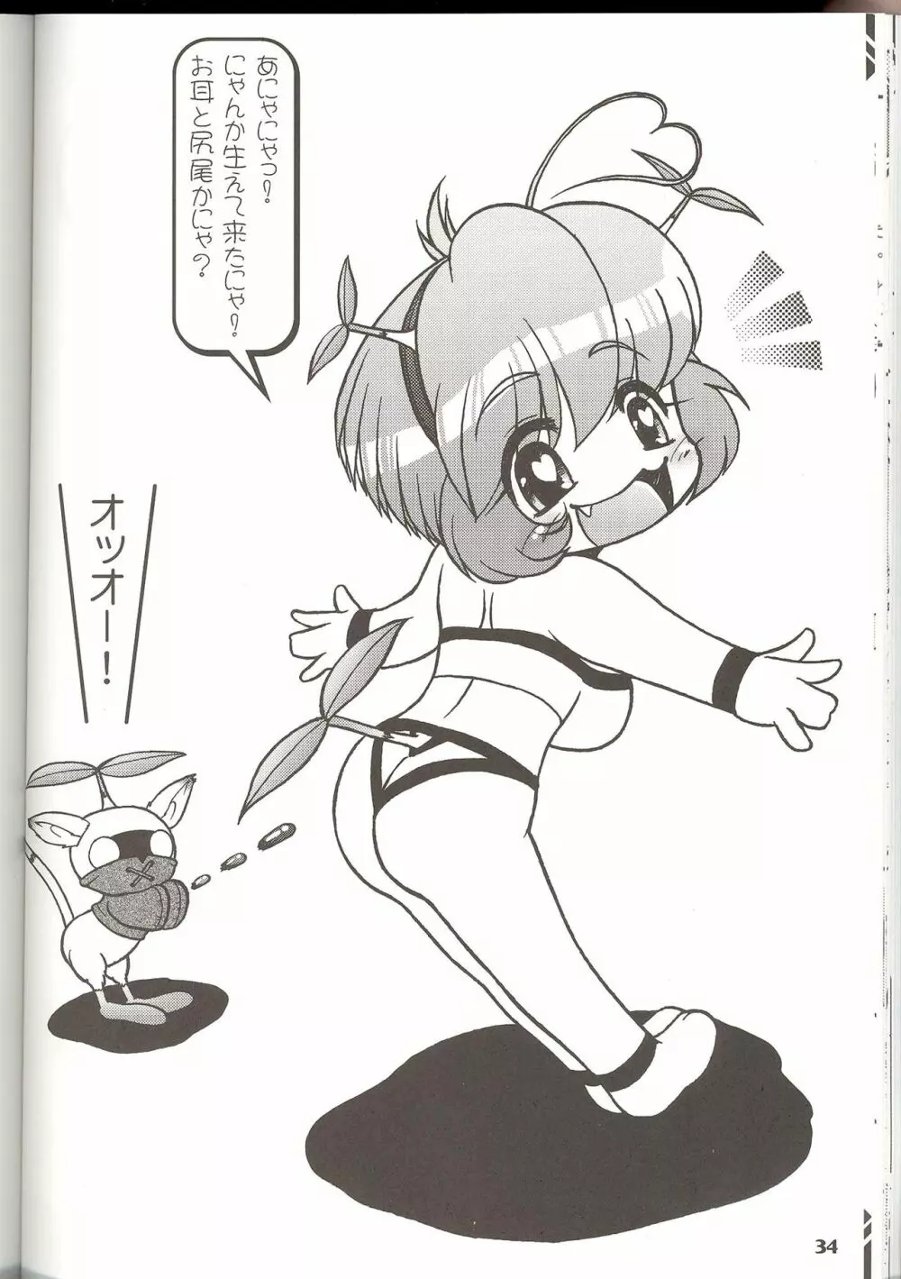 ミスラのえろぽん・アトルニャンの秘宝姦 Page.36