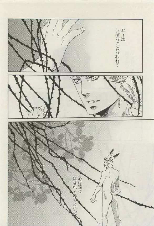 Canna Vol.40 Page.253