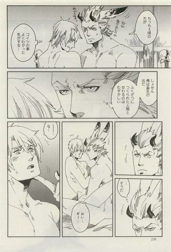 Canna Vol.40 Page.257