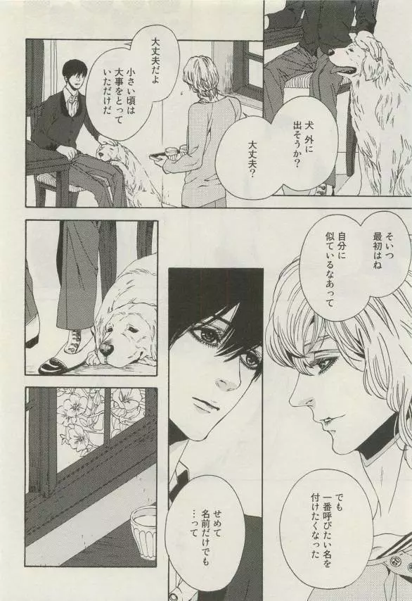 Canna Vol.40 Page.445