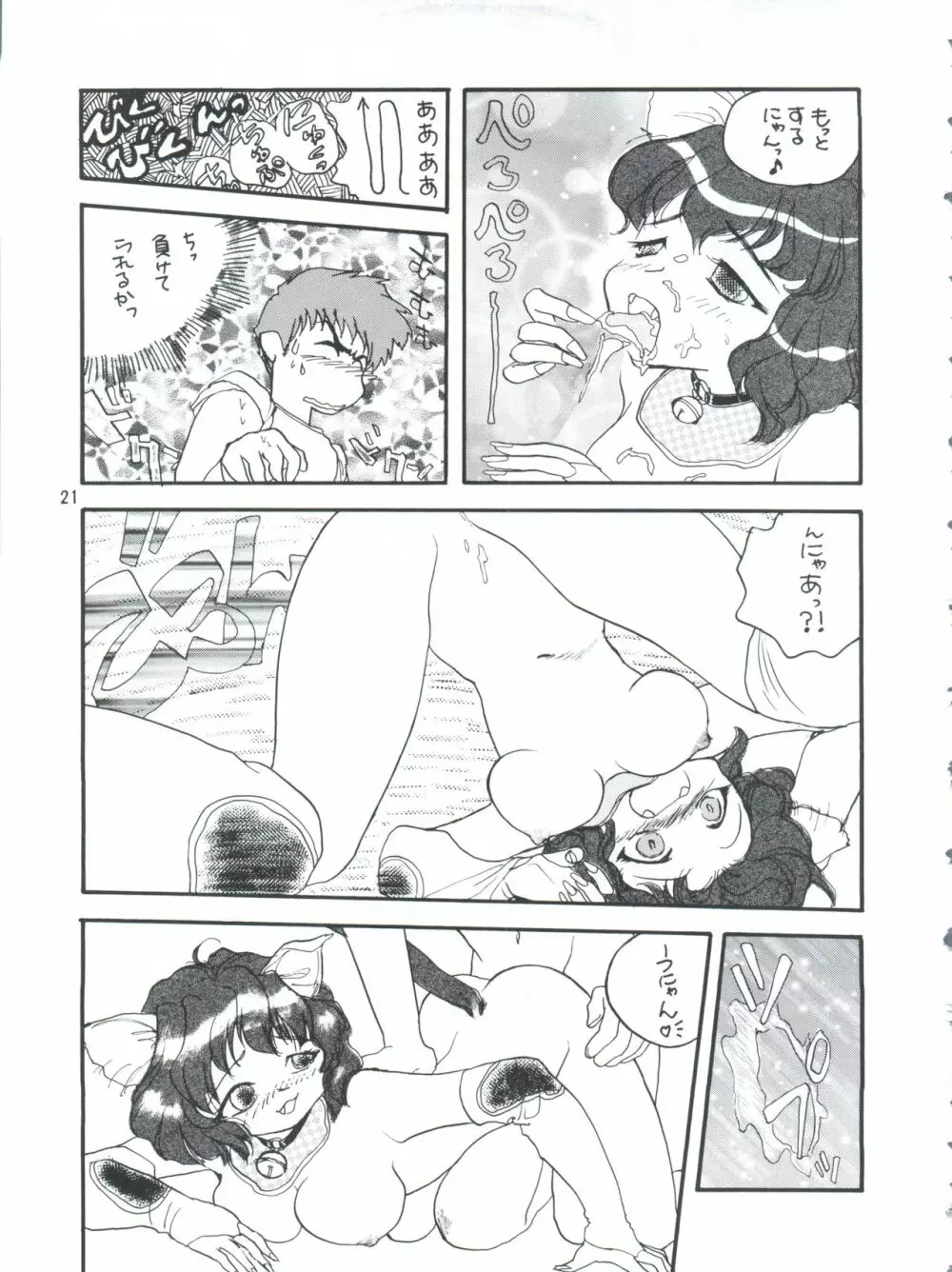 プラスY Vol.26 けもみみっくす 2 Page.21