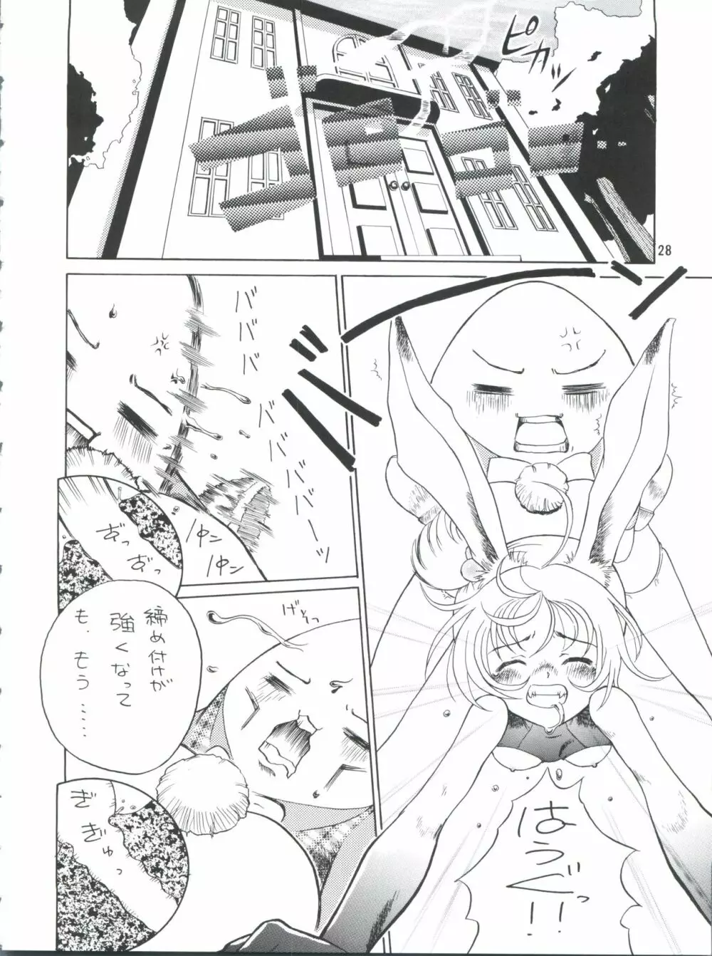 プラスY Vol.26 けもみみっくす 2 Page.28