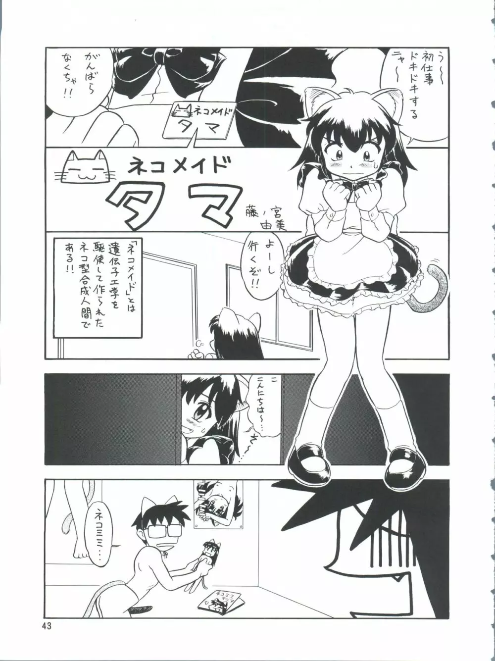 プラスY Vol.26 けもみみっくす 2 Page.43