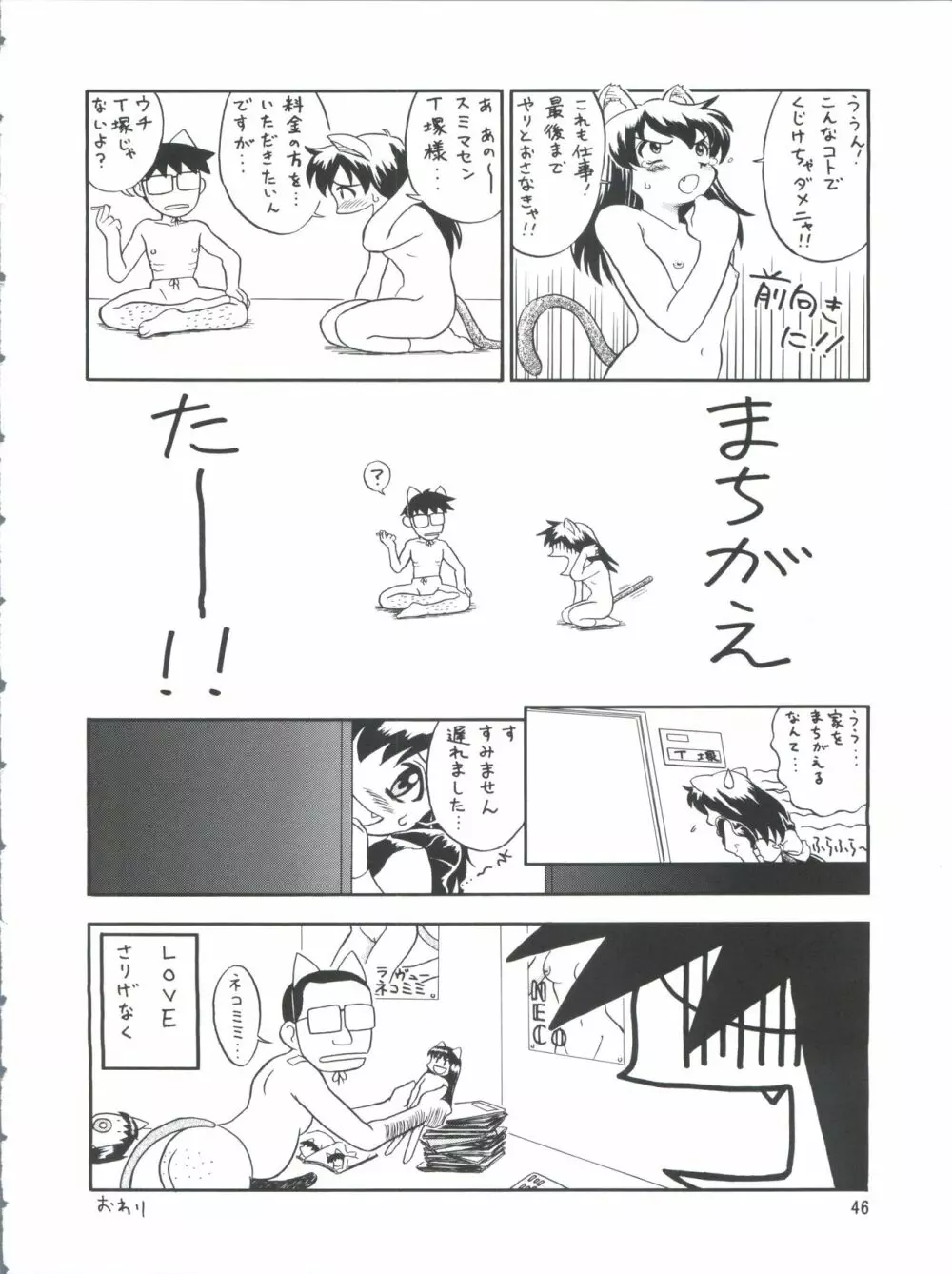 プラスY Vol.26 けもみみっくす 2 Page.46