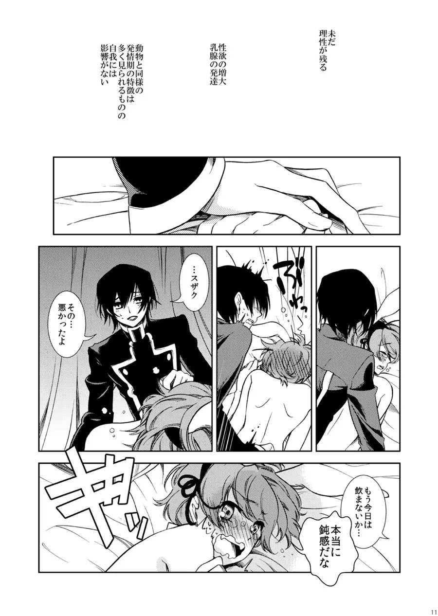 ドロッセルマイヤーの宝石箱 Page.10