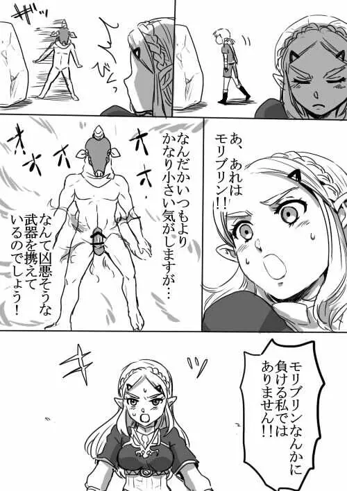 リンクとゼルダの初心者に優しいせっくす入門 Page.5