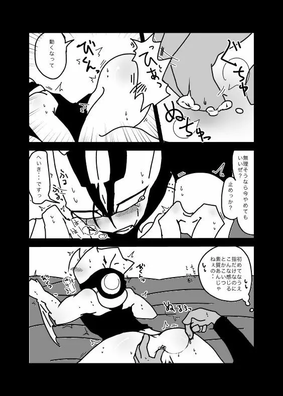 いちばんはじめのザプツェ本 Page.15