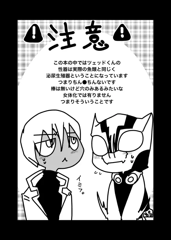 いちばんはじめのザプツェ本 Page.2