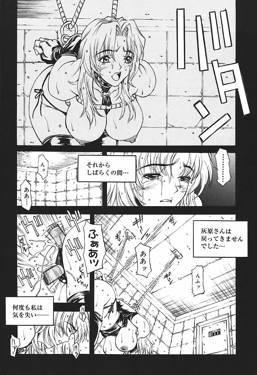 凌辱綴り ~彼女達の日記帳~ Page.28