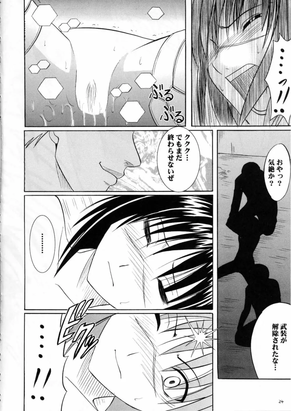 斗う貴き女 2 Page.24