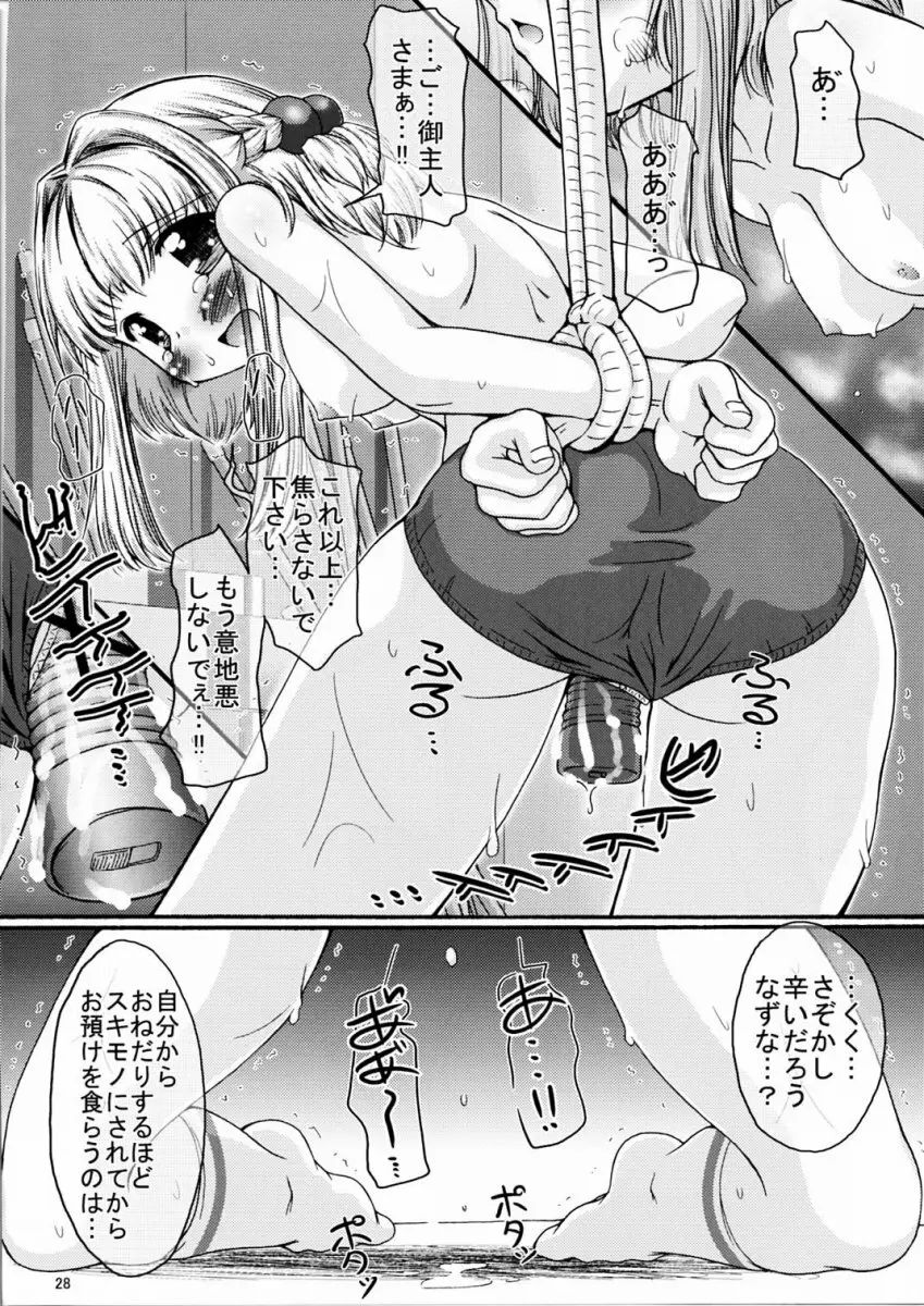 ひかりじゃ無くても速いんです!! Page.27