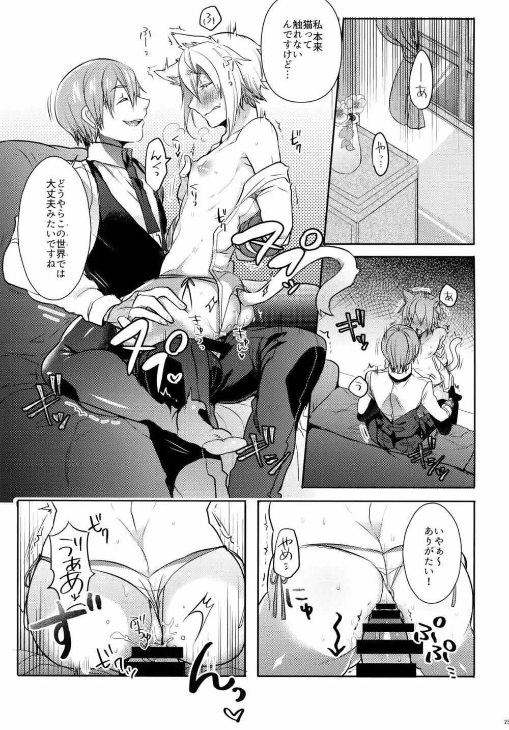 とある衛士の妄想日誌 Page.26