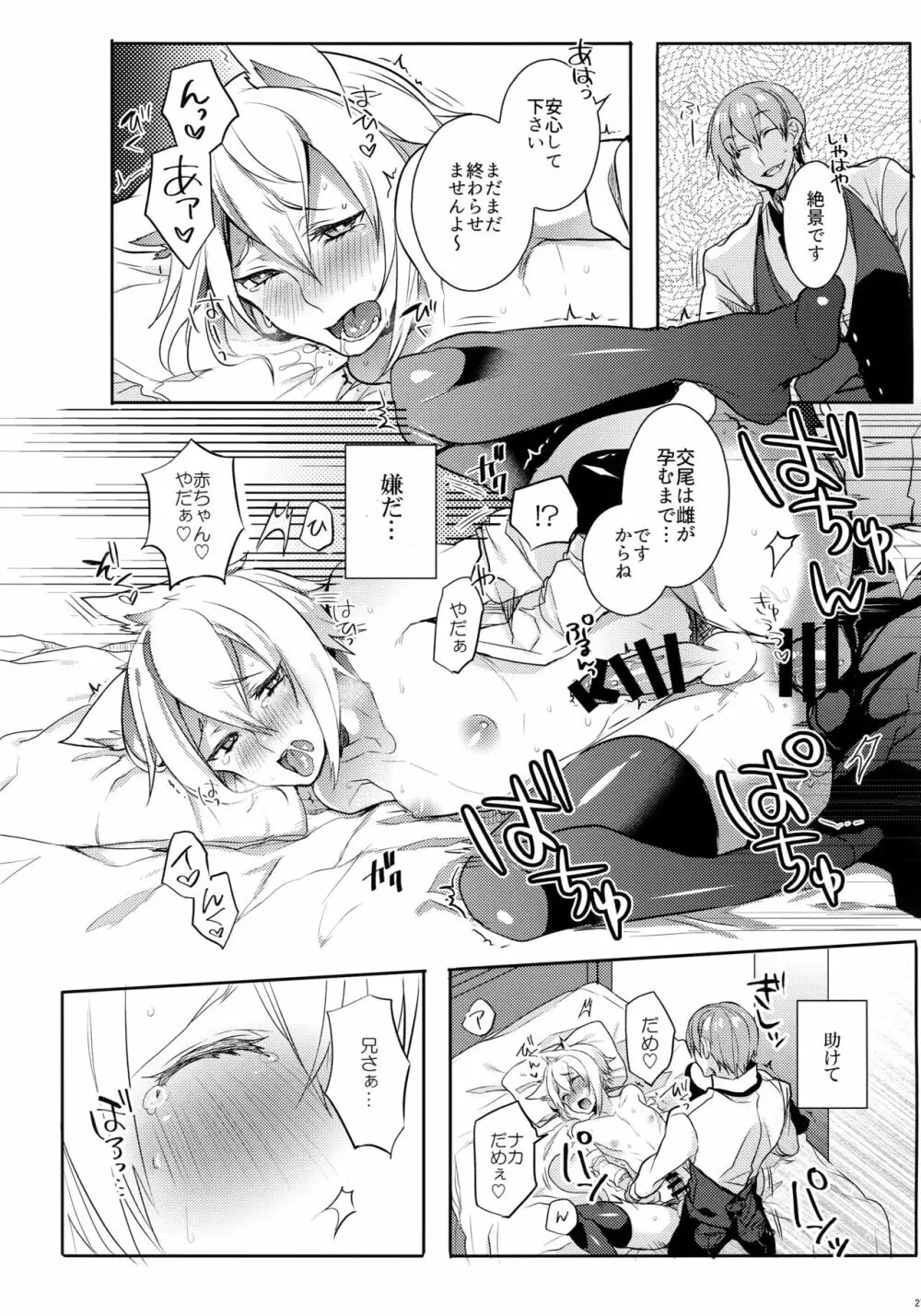 とある衛士の妄想日誌 Page.28