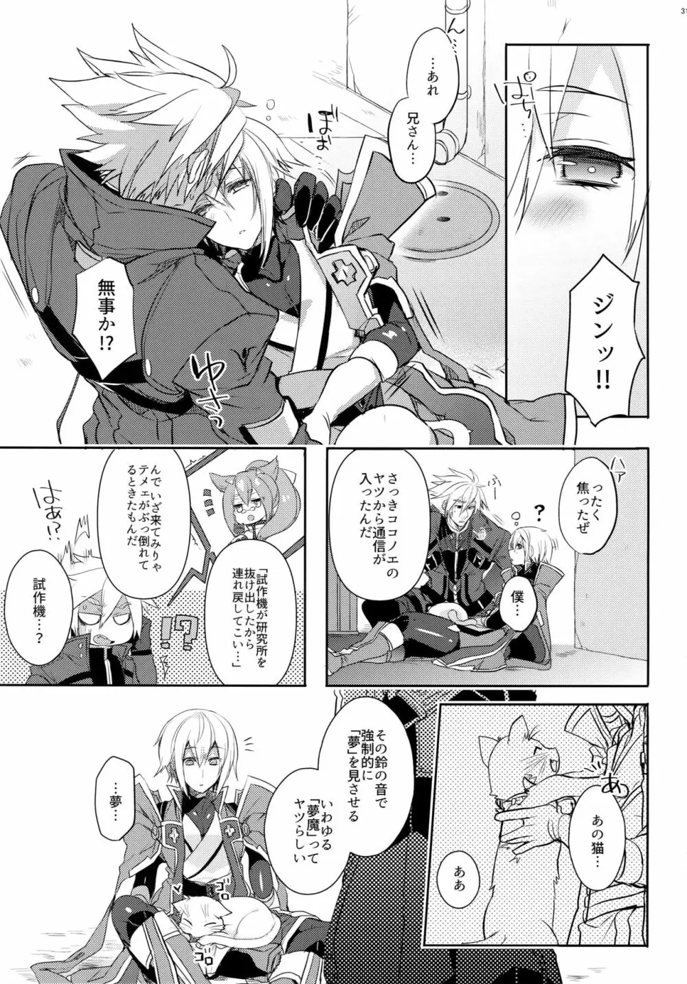 とある衛士の妄想日誌 Page.32