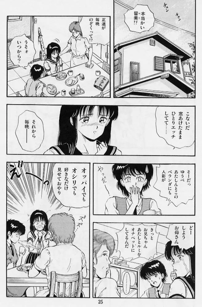 風の東の月の森 Page.27