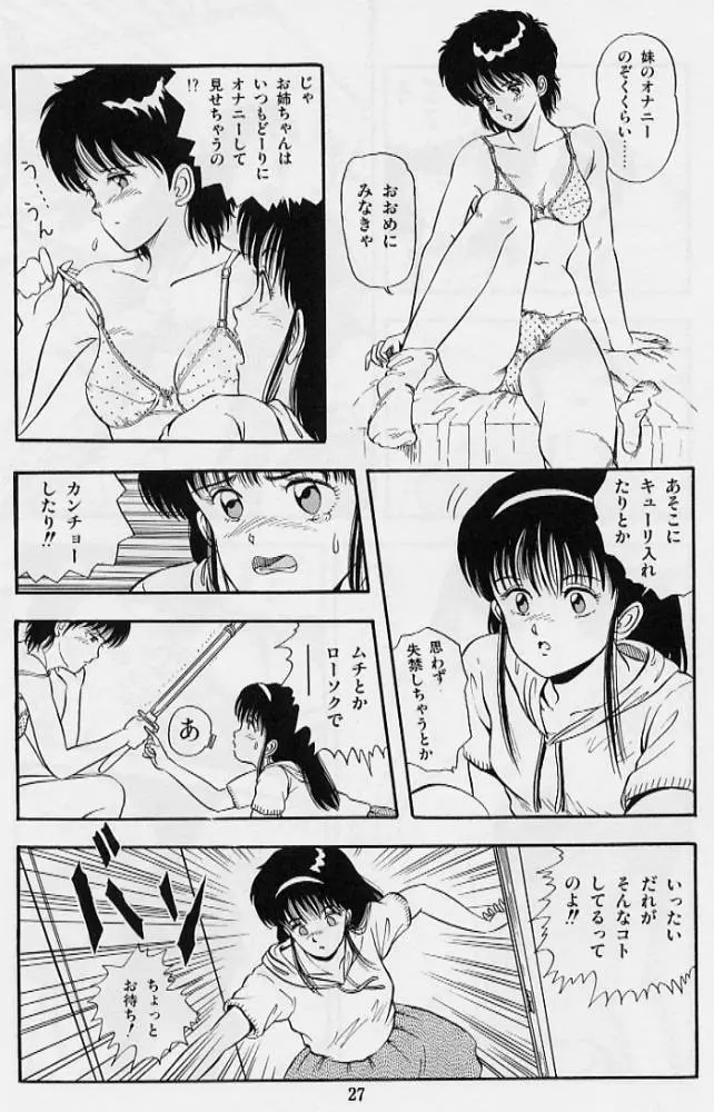 風の東の月の森 Page.29