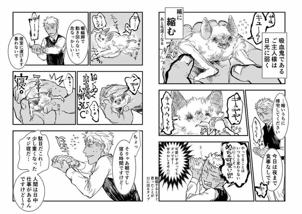 吸血鬼ロリババアと食用人間奴隷くん Page.10