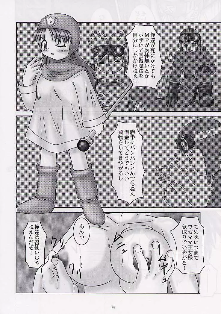 DRAGONQUEST nirvana Page.27