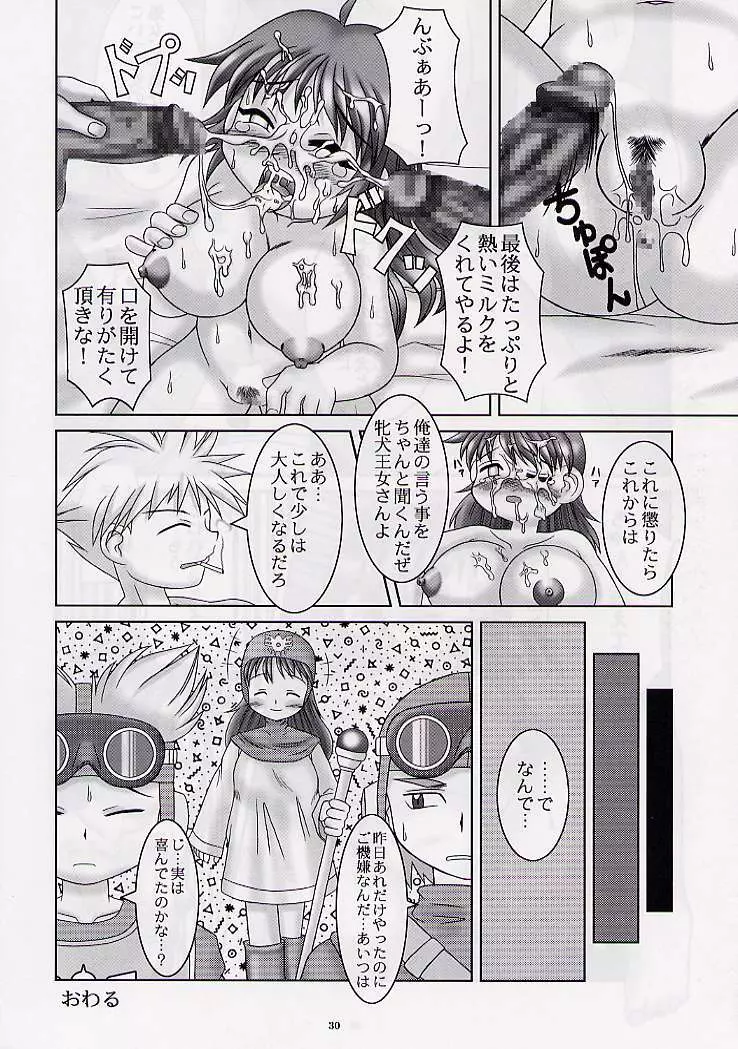 DRAGONQUEST nirvana Page.29