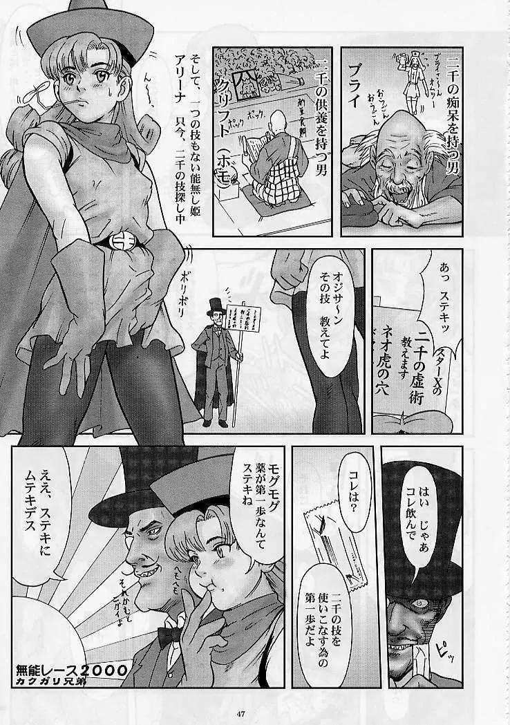 DRAGONQUEST nirvana Page.46