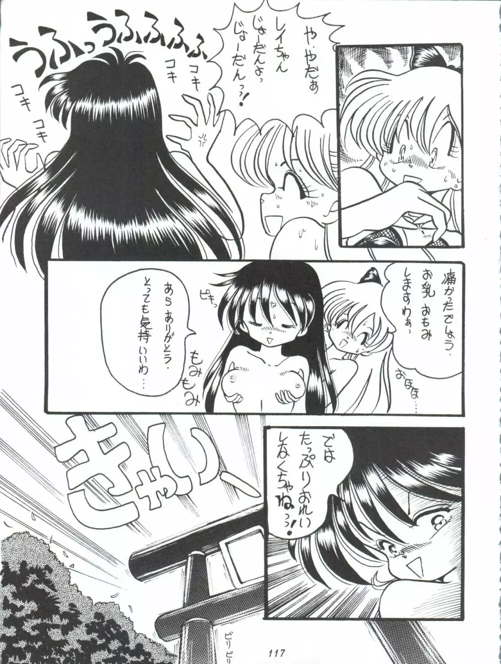 V-TIC MAX 3 Page.117