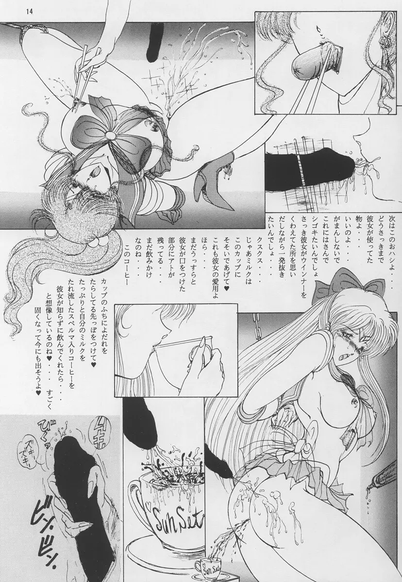 少女戦隊 Page.13