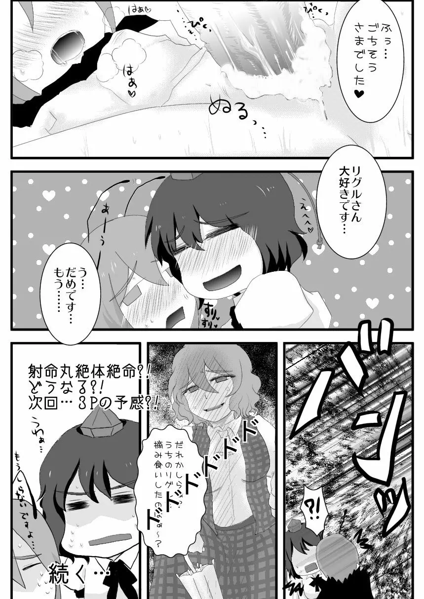 鴉は蟲が大好物のようです Page.13