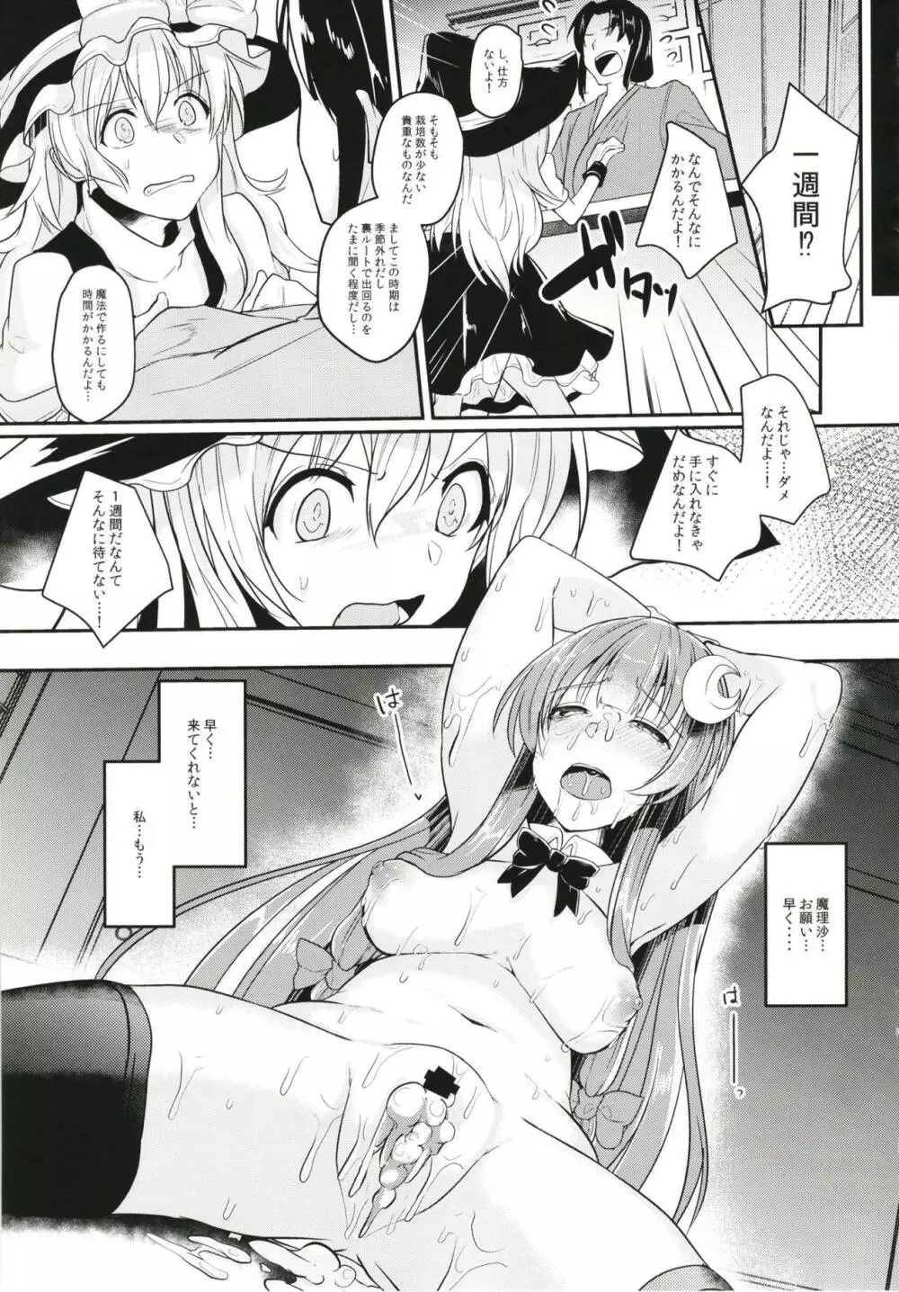 身代わりのパチュリー Page.20