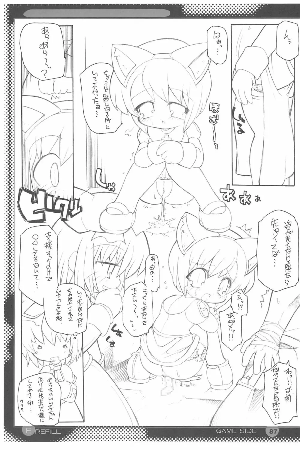 E/Refill Page.87