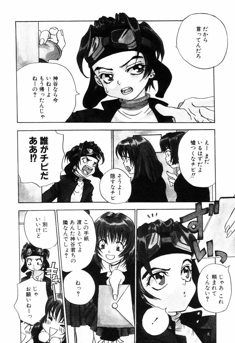 ミニチュアカオス Page.114