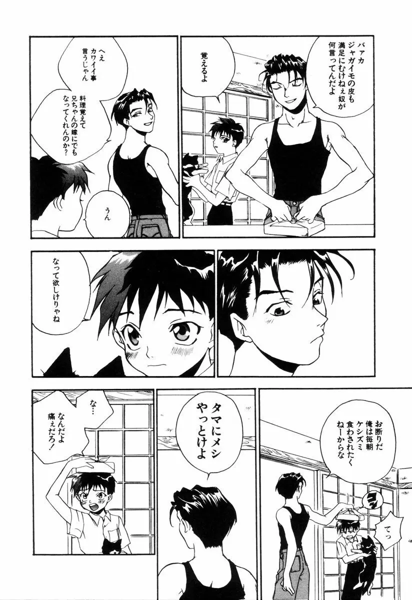 ミニチュアカオス Page.74