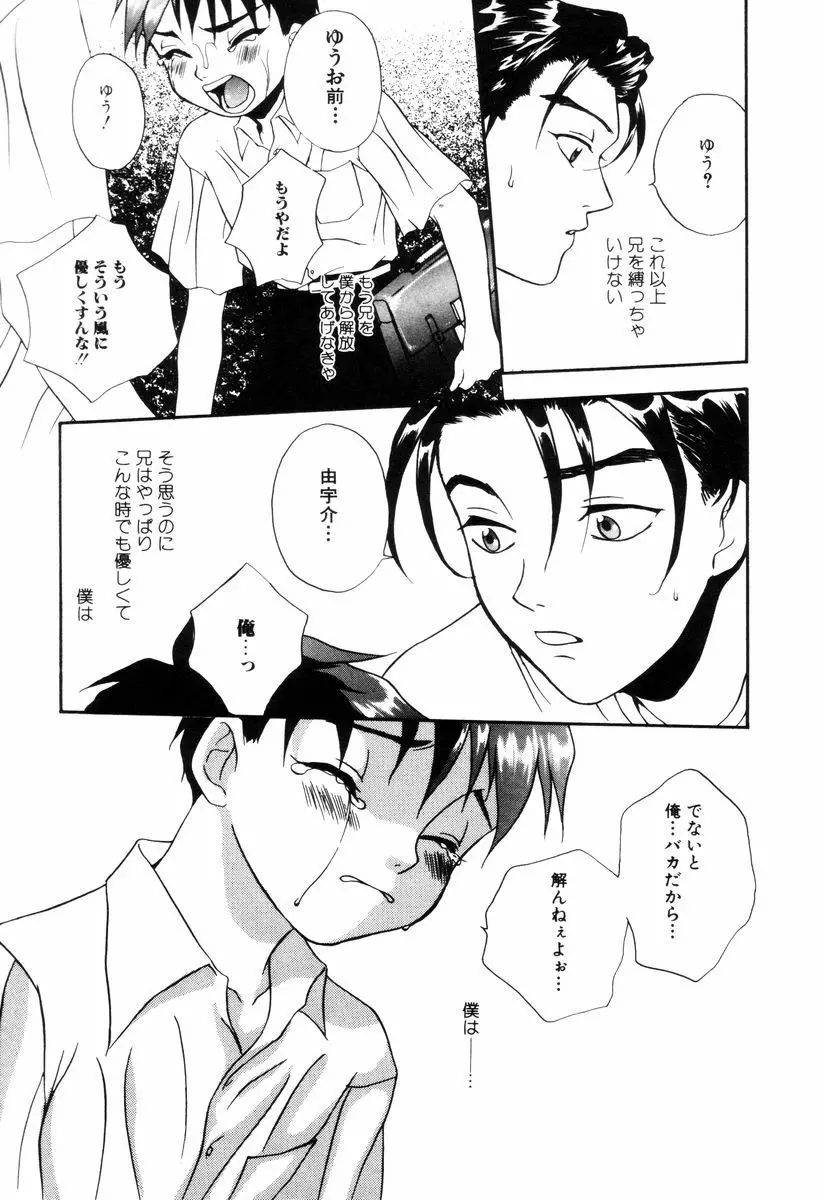 ミニチュアカオス Page.81