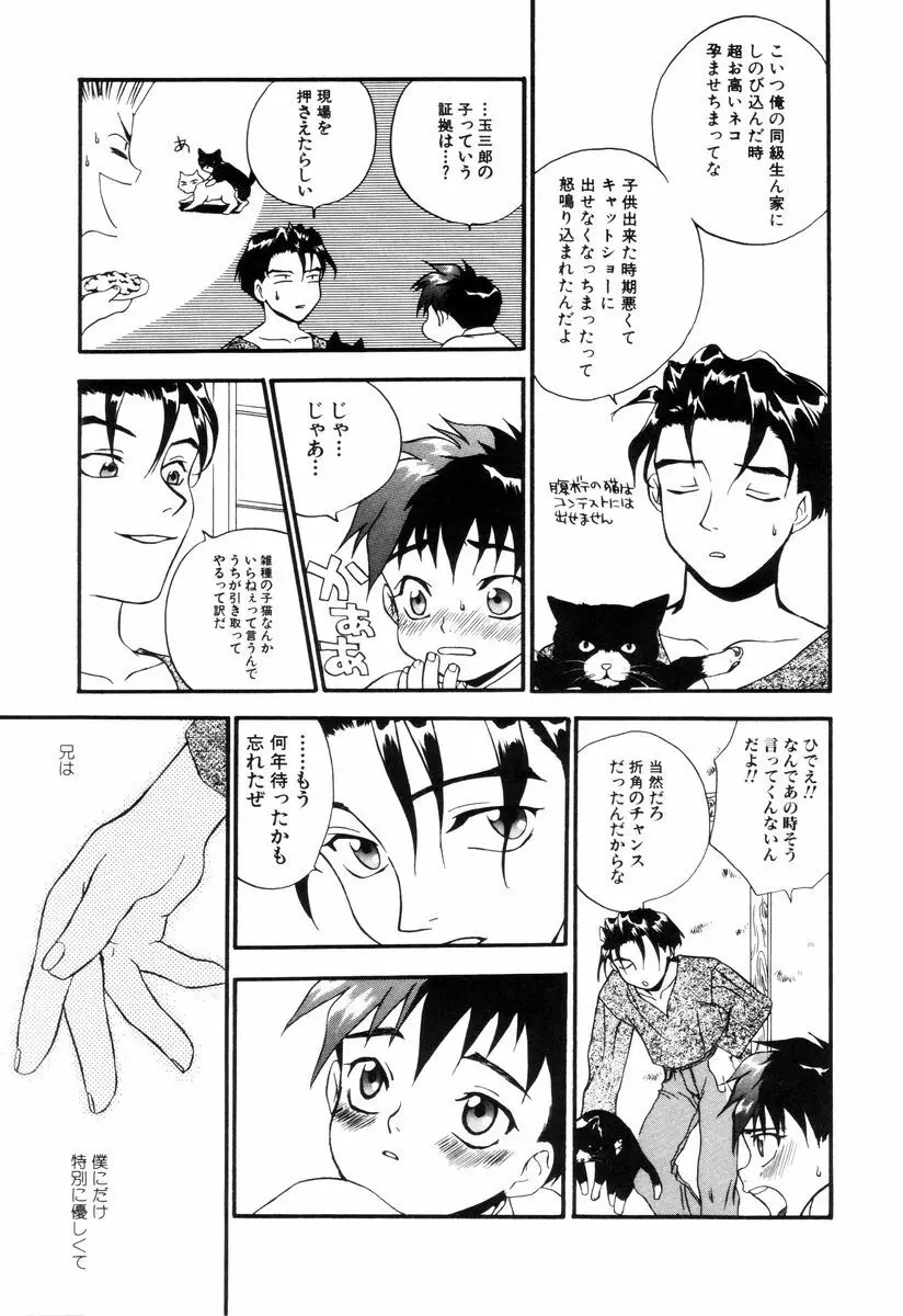 ミニチュアカオス Page.89