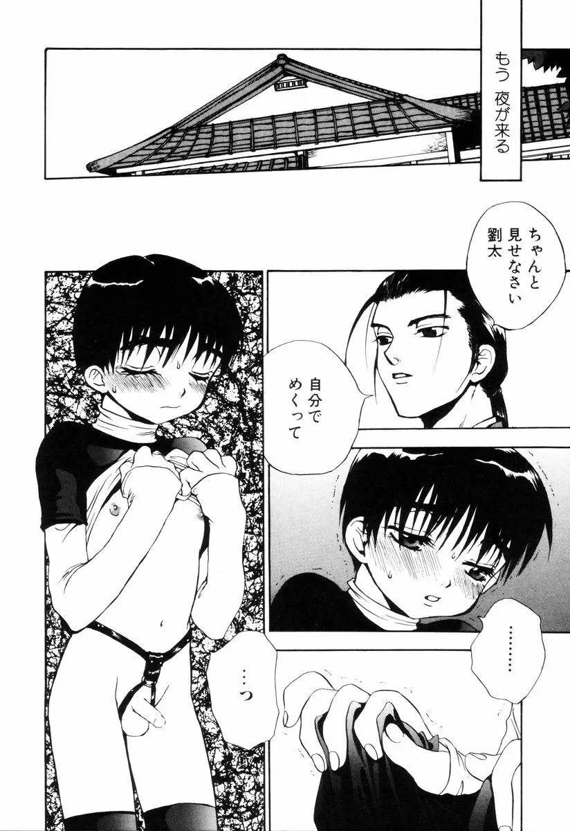 ミニチュアカオス Page.96