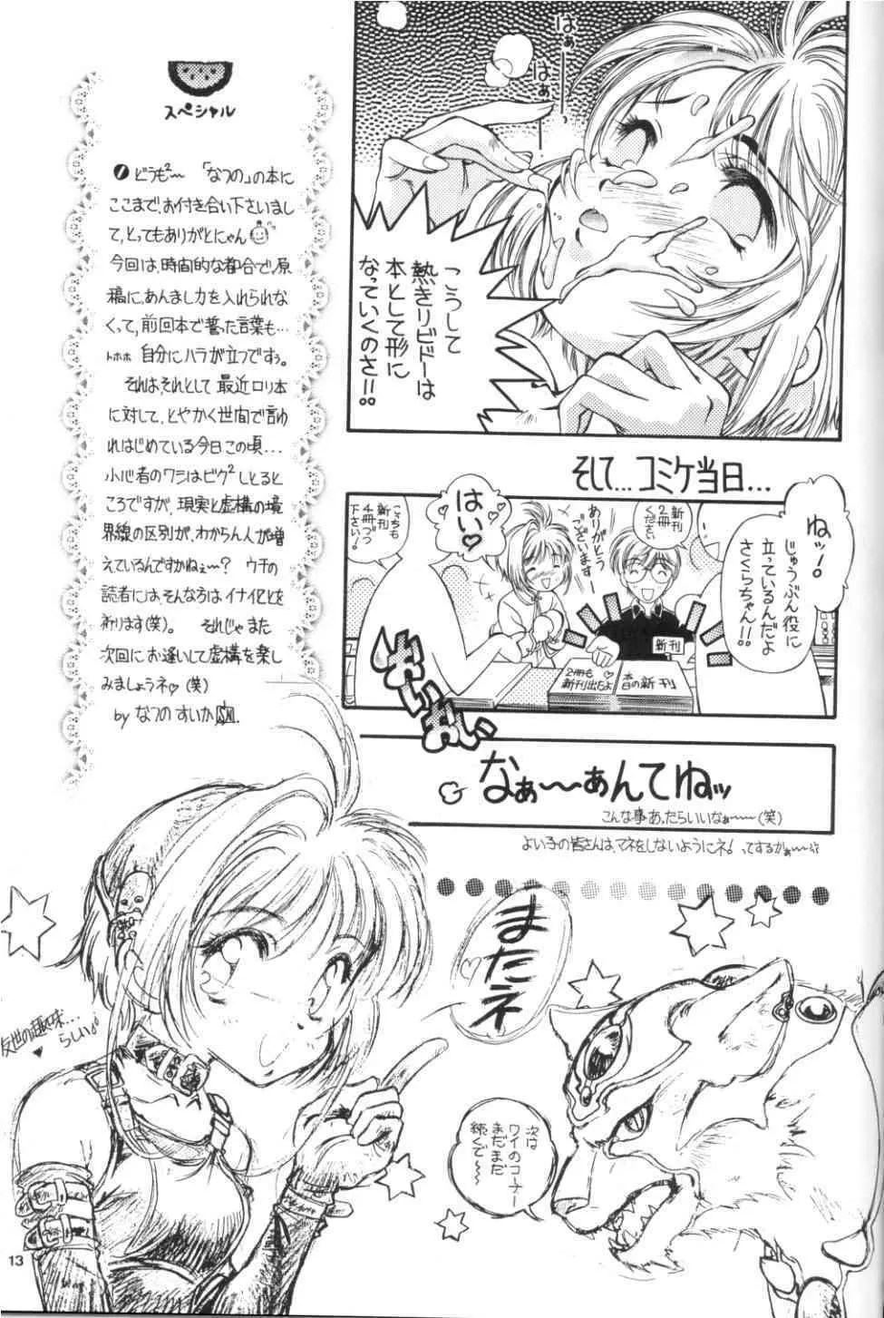 SAKURA前線縦断中!IV Page.13