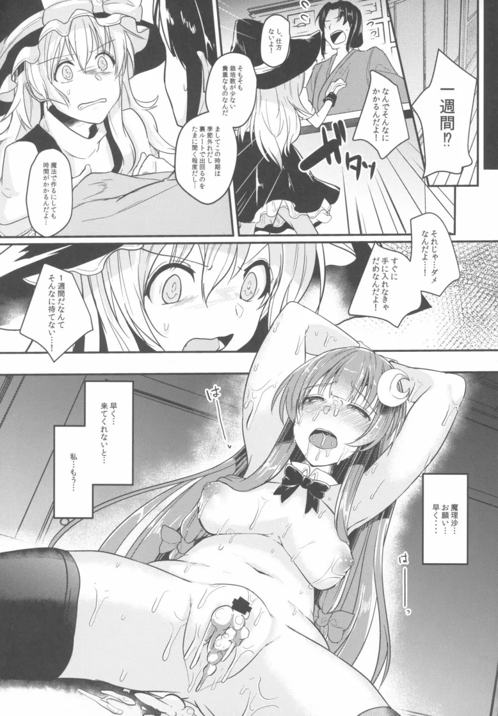 身代わりのパチュリー Page.20