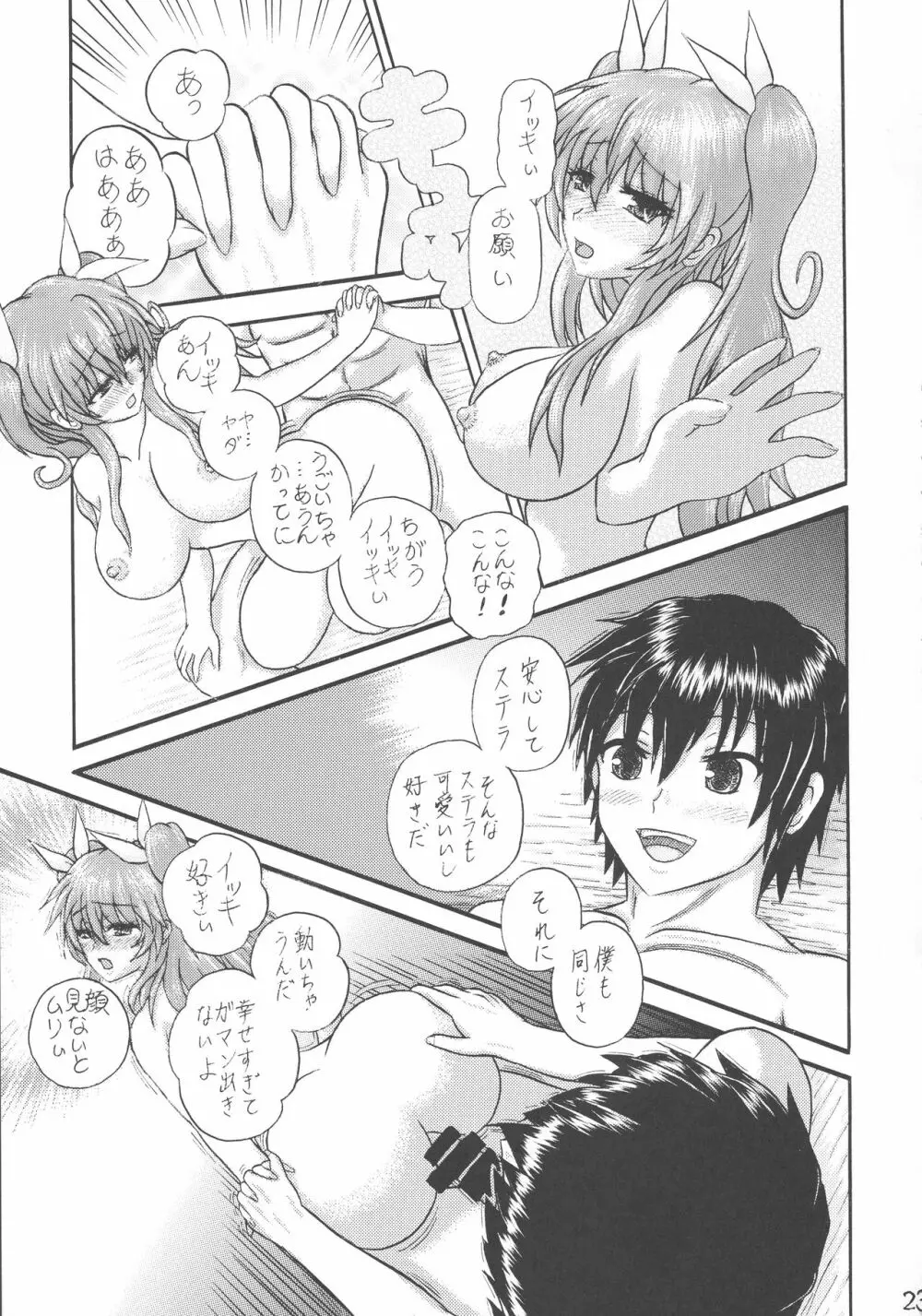 運命先夜の聖儀式 Page.23