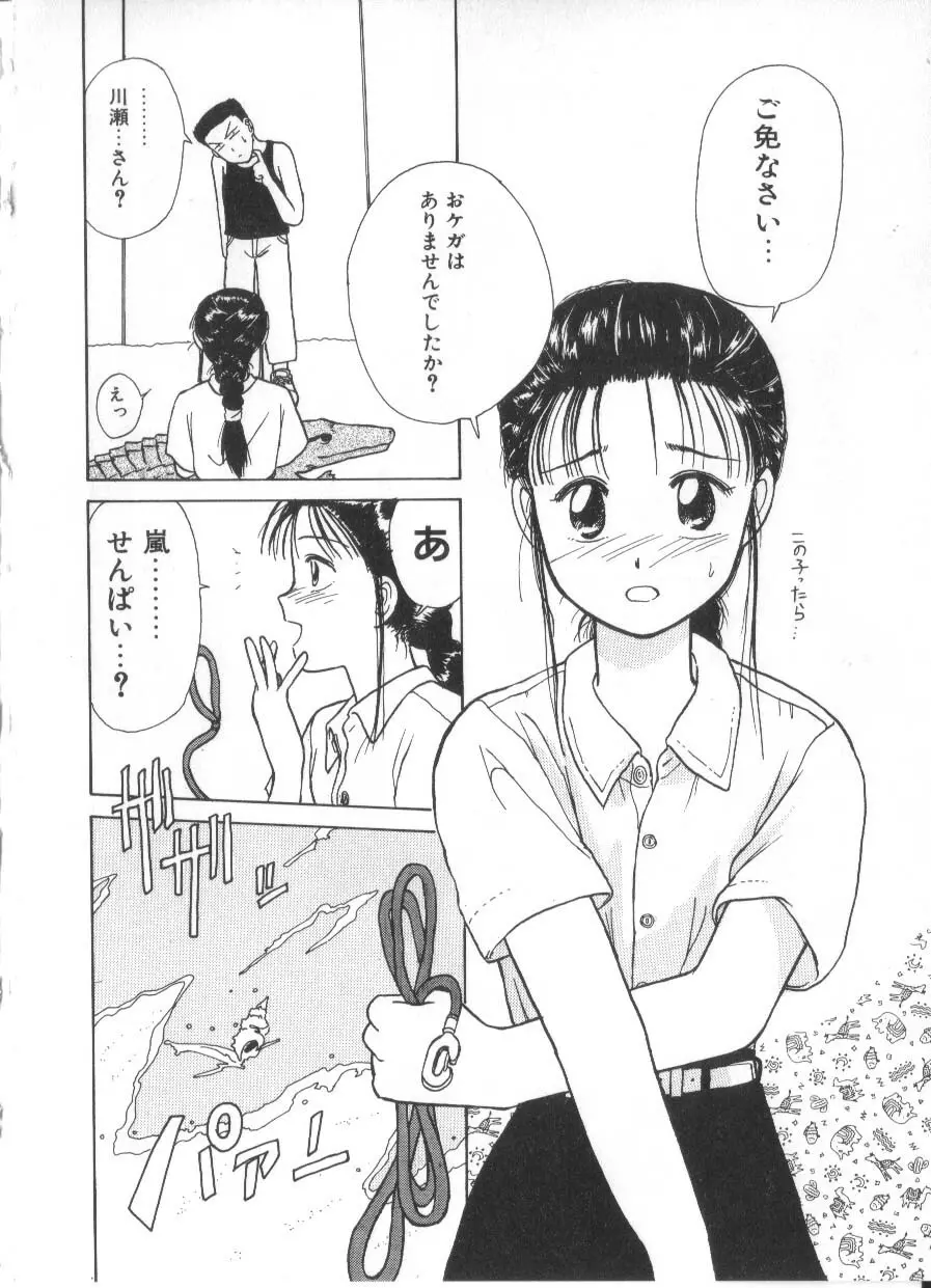 花ごよみ Page.204