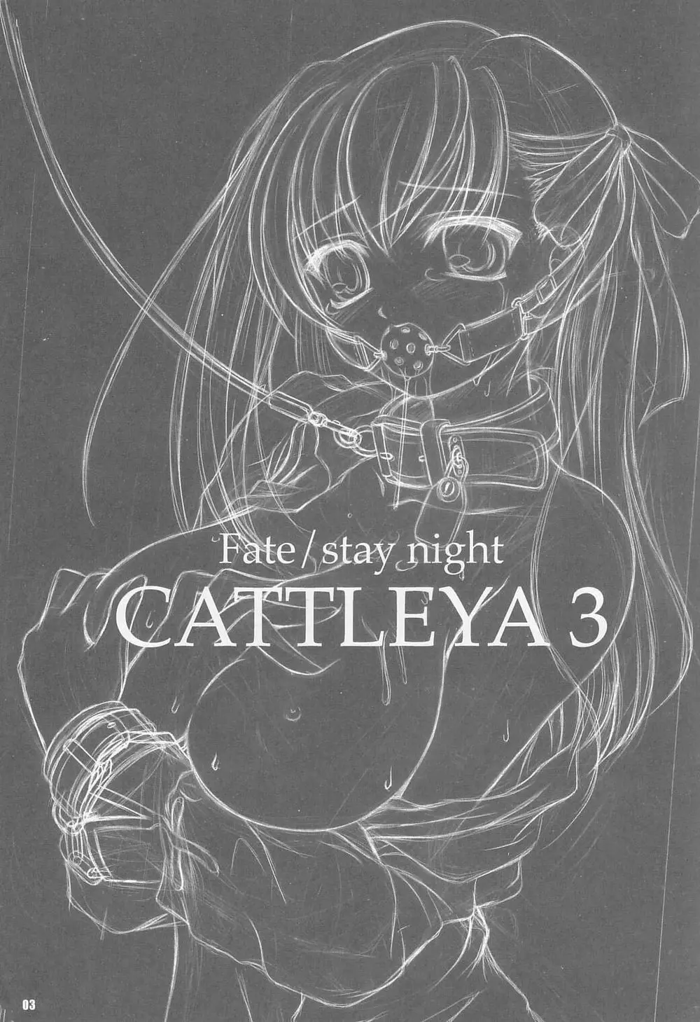 CATTLEYA 3 Page.2