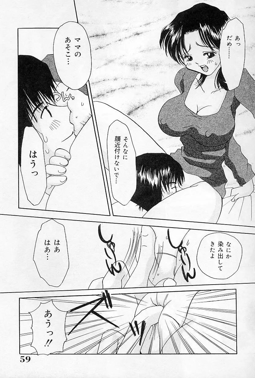 びんかんな蕾 Page.60