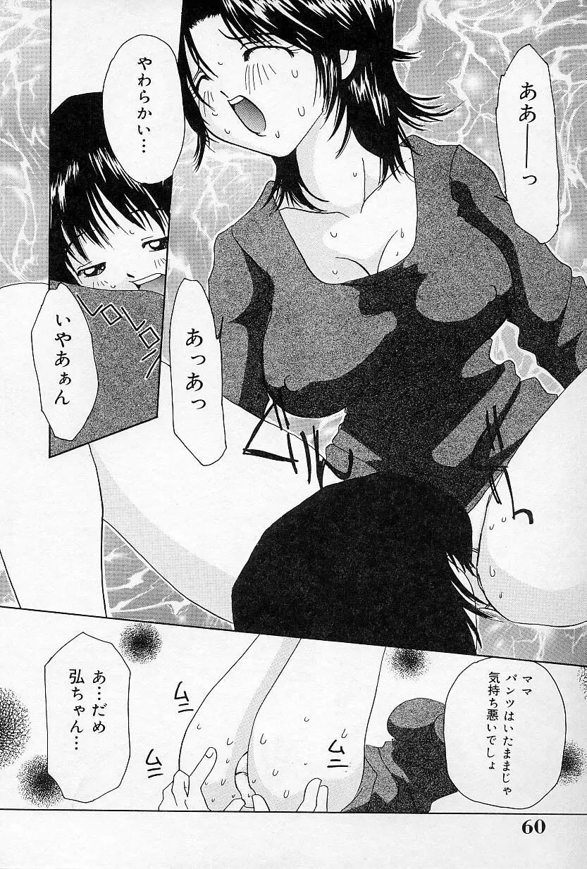 びんかんな蕾 Page.61