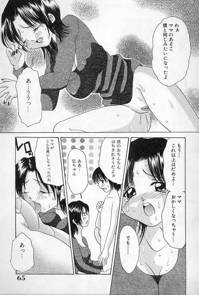 びんかんな蕾 Page.66