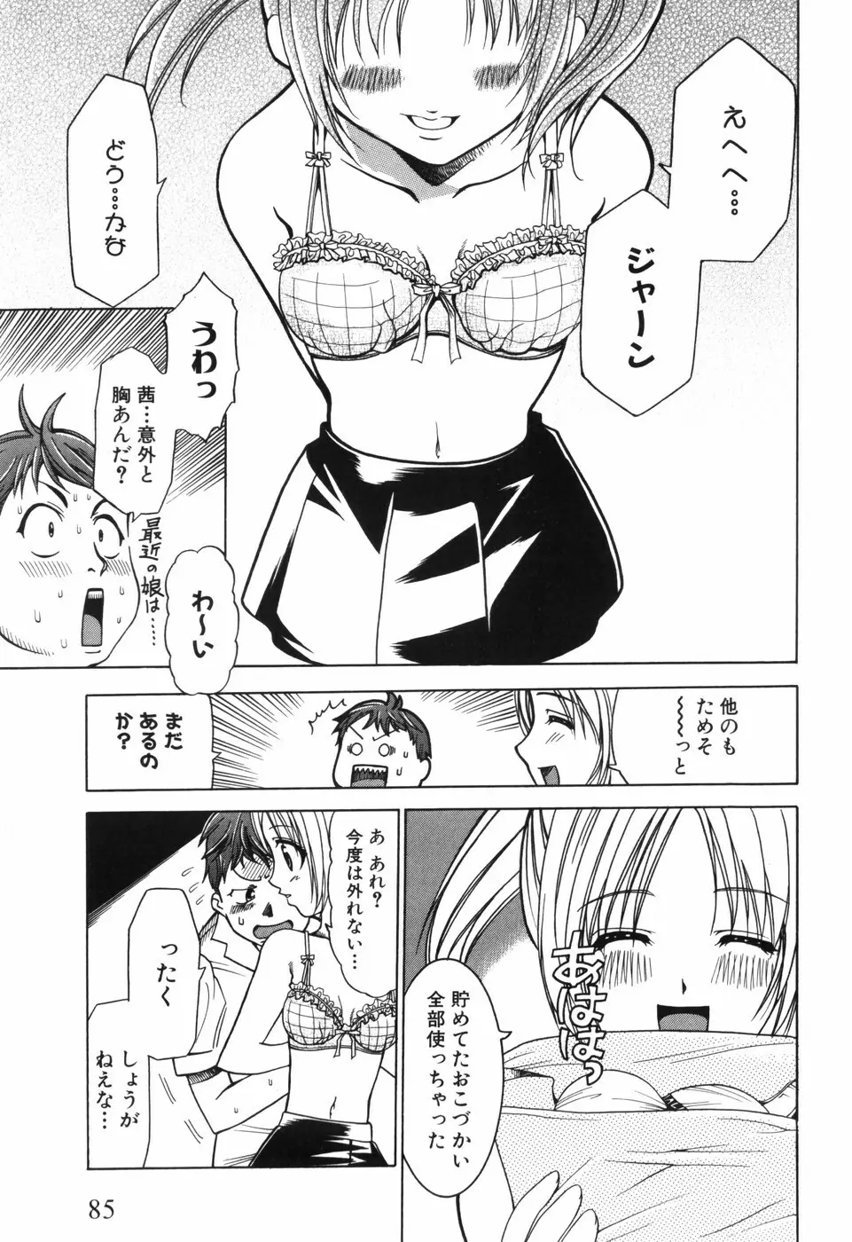 アリスのひめごと Page.88