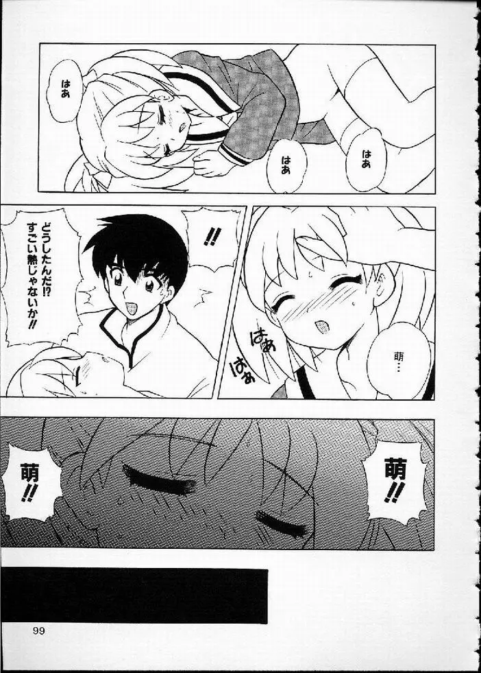 花の実の熟するとき... Page.100