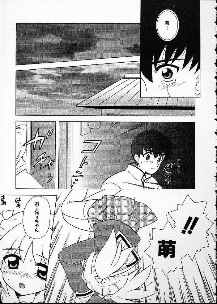 花の実の熟するとき... Page.102