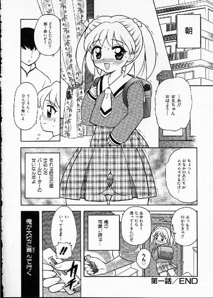 花の実の熟するとき... Page.20