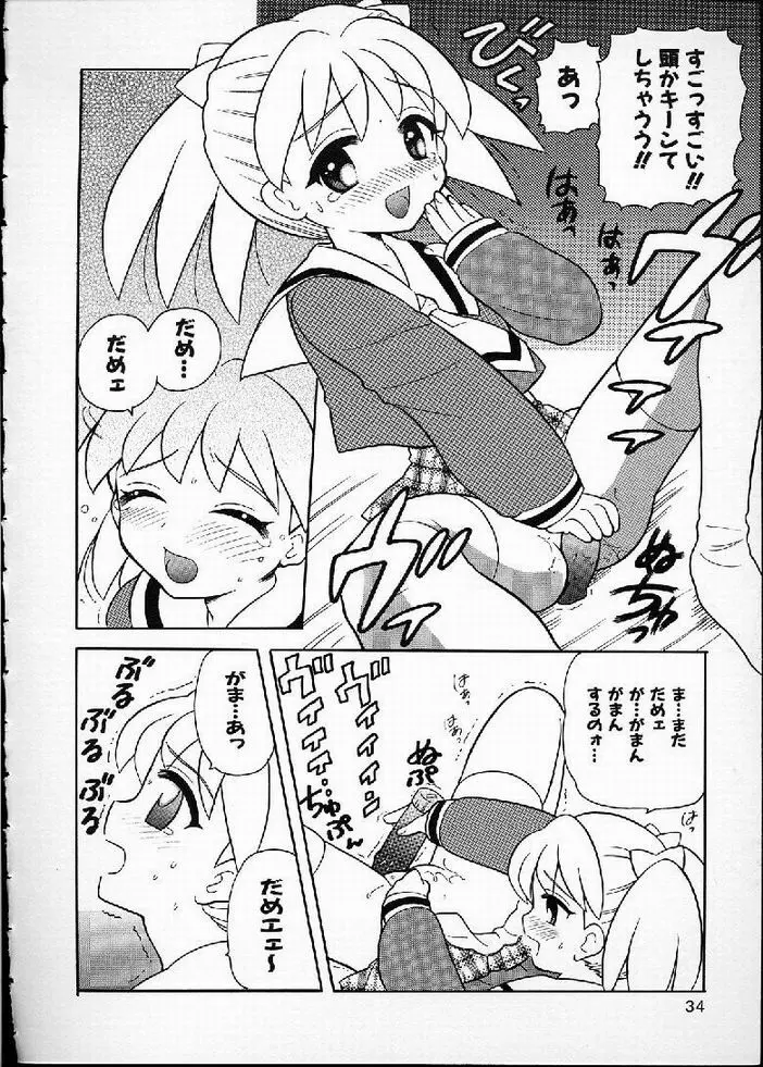 花の実の熟するとき... Page.34