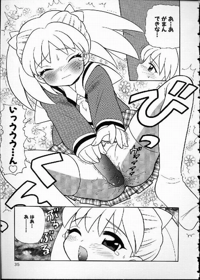 花の実の熟するとき... Page.35